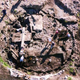 Illustration for article titled The 2,000-Year-Old Mystery Circle Discovered In Downtown Miami